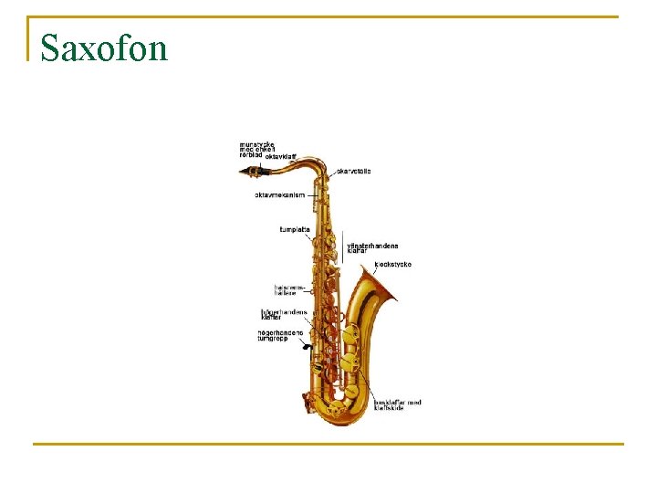 Saxofon 