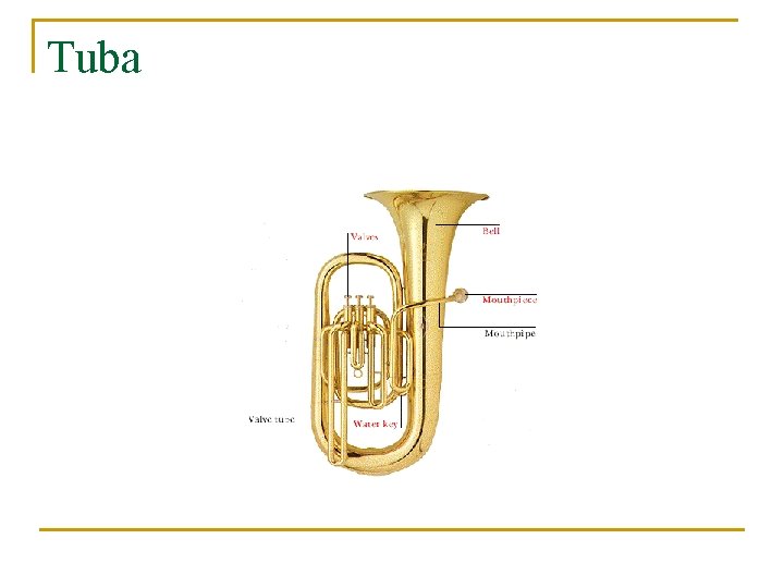 Tuba 