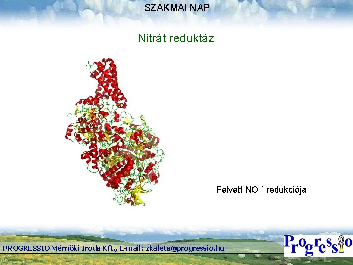 SZAKMAI NAP Nitrát reduktáz Felvett NO 3 - redukciója PROGRESSIO Mérnöki Iroda Kft. ,