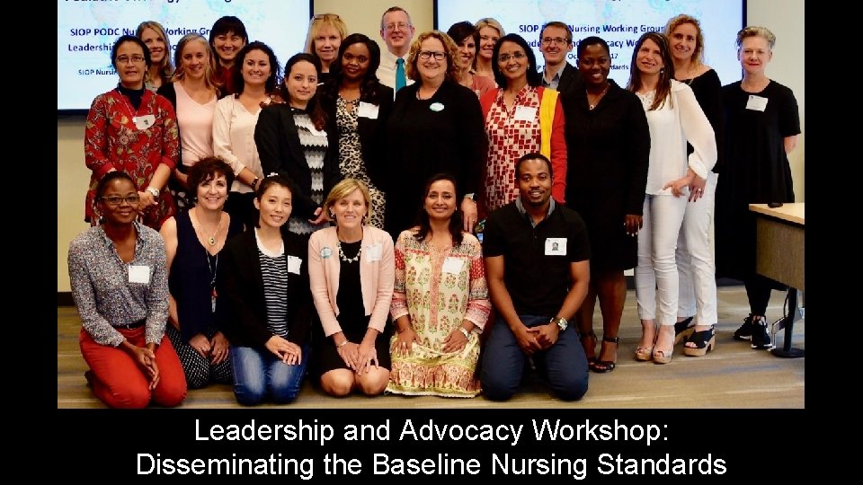 Leadership and Advocacy Workshop: Disseminating the Baseline Nursing Standards 