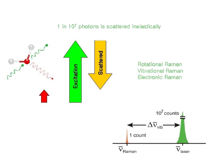 Raman Spectroscopy 1 in 107 photons is scattered inelastically Scattered Excitation virtual state Rotational