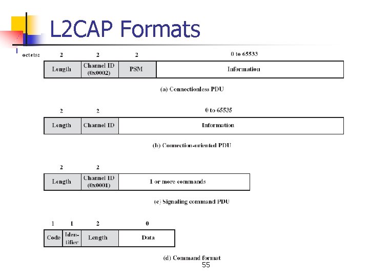 L 2 CAP Formats 55 