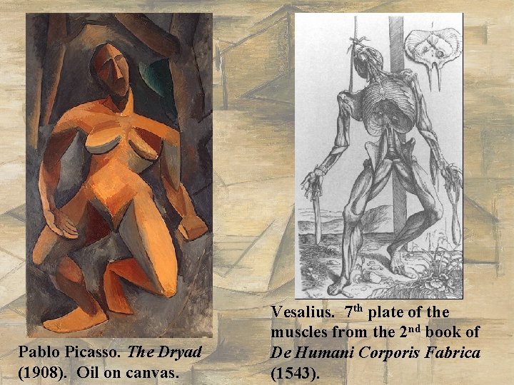 Pablo Picasso. The Dryad (1908). Oil on canvas. Vesalius. 7 th plate of the Pablo Picasso. The Dryad (1908). Oil on canvas. Vesalius. 7 th plate of the