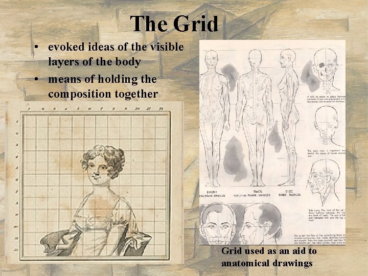 The Grid • evoked ideas of the visible layers of the body • means The Grid • evoked ideas of the visible layers of the body • means