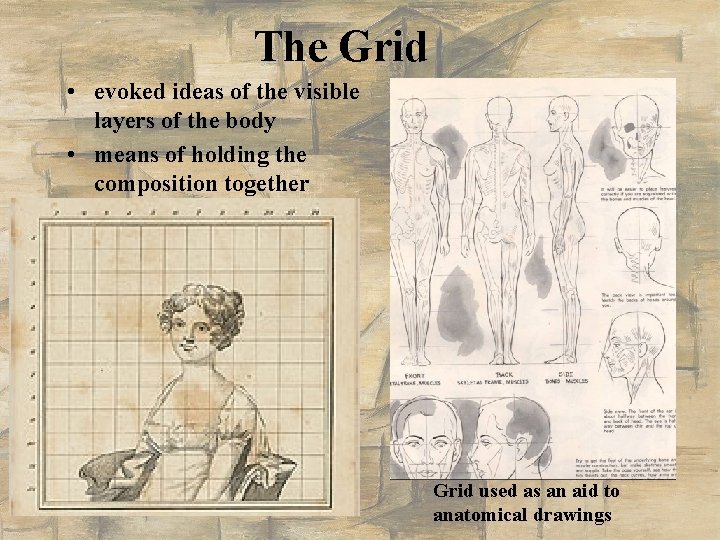 The Grid • evoked ideas of the visible layers of the body • means