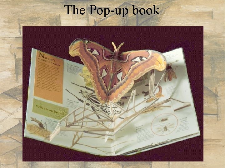 The Pop-up book 