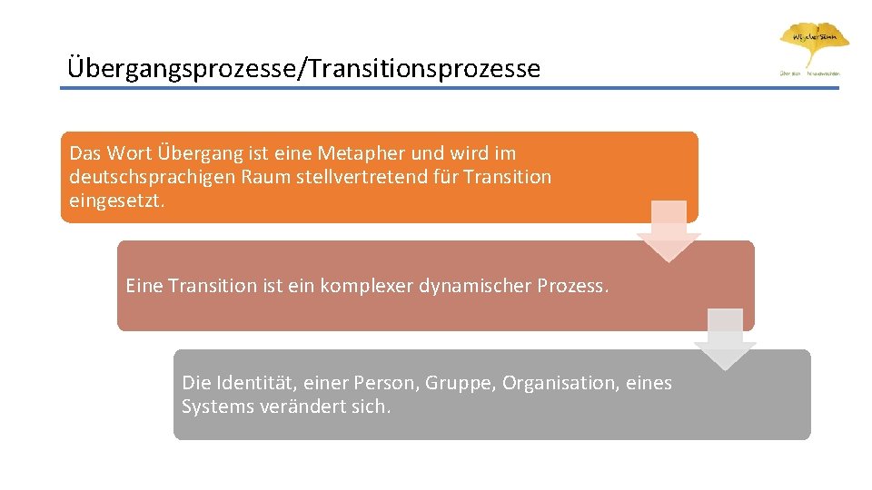 Übergangsprozesse/Transitionsprozesse Das Wort Übergang ist eine Metapher und wird im deutschsprachigen Raum stellvertretend für Übergangsprozesse/Transitionsprozesse Das Wort Übergang ist eine Metapher und wird im deutschsprachigen Raum stellvertretend für