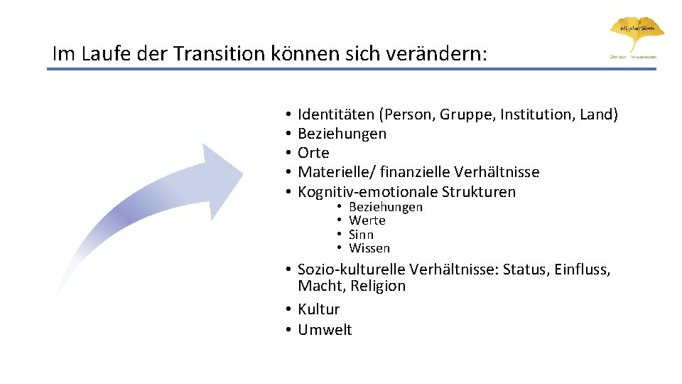 Im Laufe der Transition können sich verändern: • • • Identitäten (Person, Gruppe, Institution,