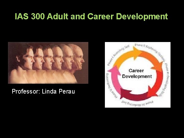 IAS 300 Adult and Career Development Professor: Linda Perau 