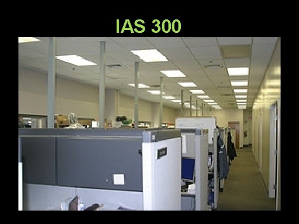 IAS 300 