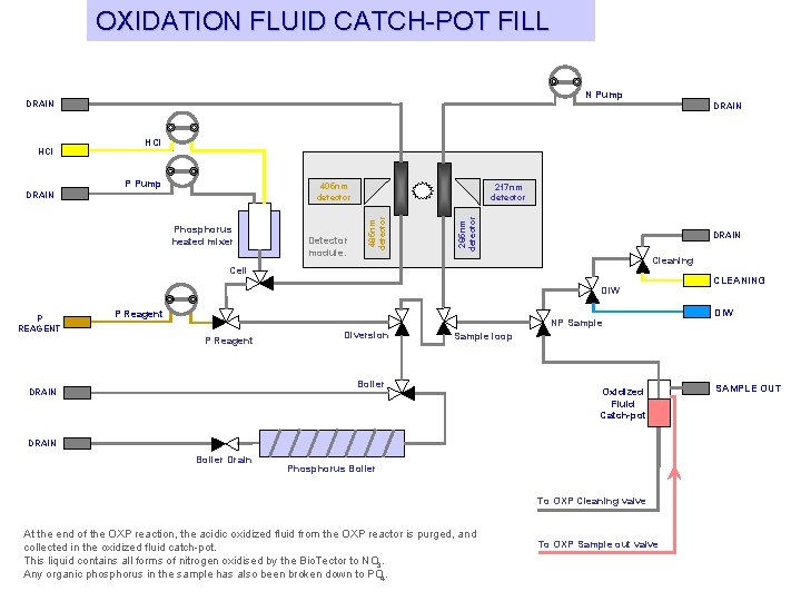 OXIDATION FLUID CATCH-POT FILL N Pump DRAIN HCl P Pump 405 nm detector Phosphorus