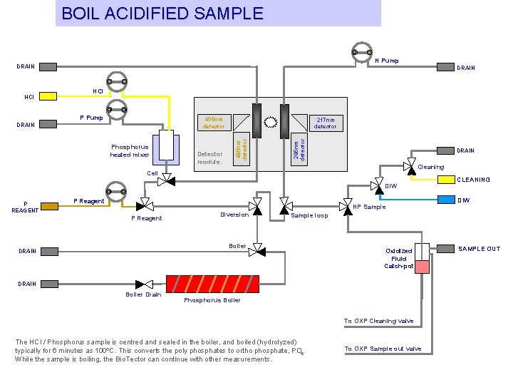 BOIL ACIDIFIED SAMPLE N Pump DRAIN HCl P Pump 405 nm detector Phosphorus heated