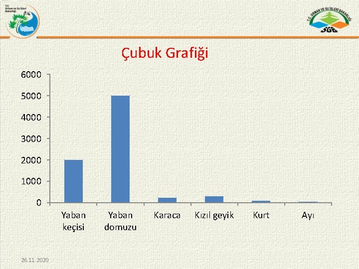 Çubuk Grafiği 6000 5000 4000 3000 2000 1000 0 Yaban keçisi 26. 11. 2020