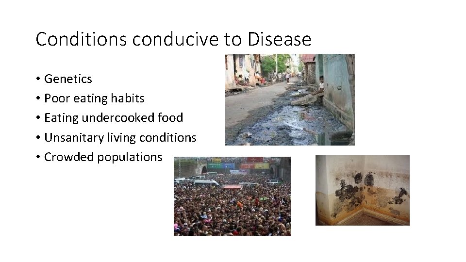 Conditions conducive to Disease • Genetics • Poor eating habits • Eating undercooked food