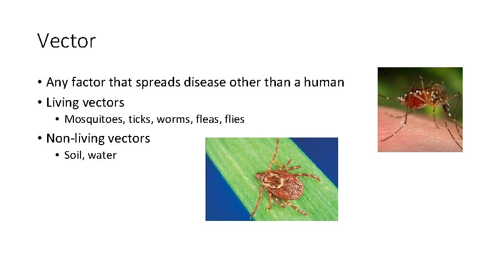 Vector • Any factor that spreads disease other than a human • Living vectors