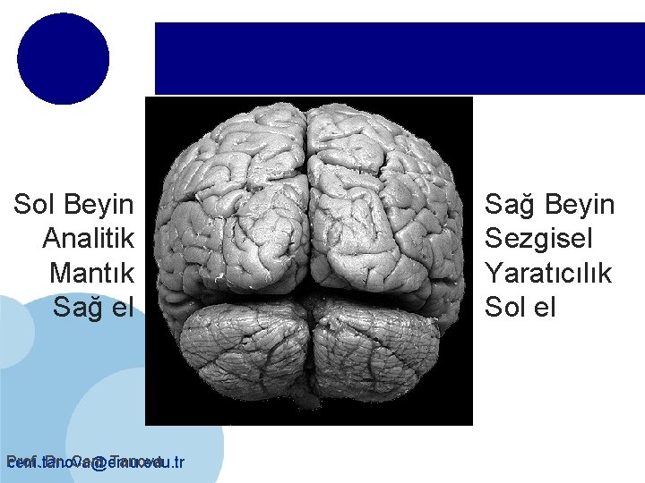 Sol Beyin Analitik Mantık Sağ el Prof. Dr. Cem Tanova cem. tanova@emu. edu. tr