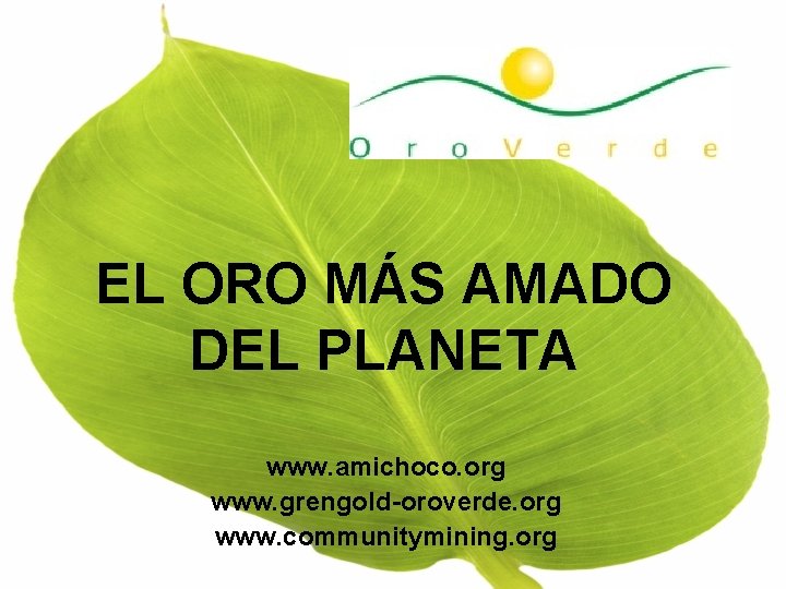 EL ORO MÁS AMADO DEL PLANETA www. amichoco. org www. grengold-oroverde. org www. communitymining.