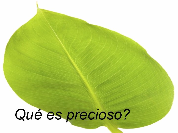 Qué es precioso? 