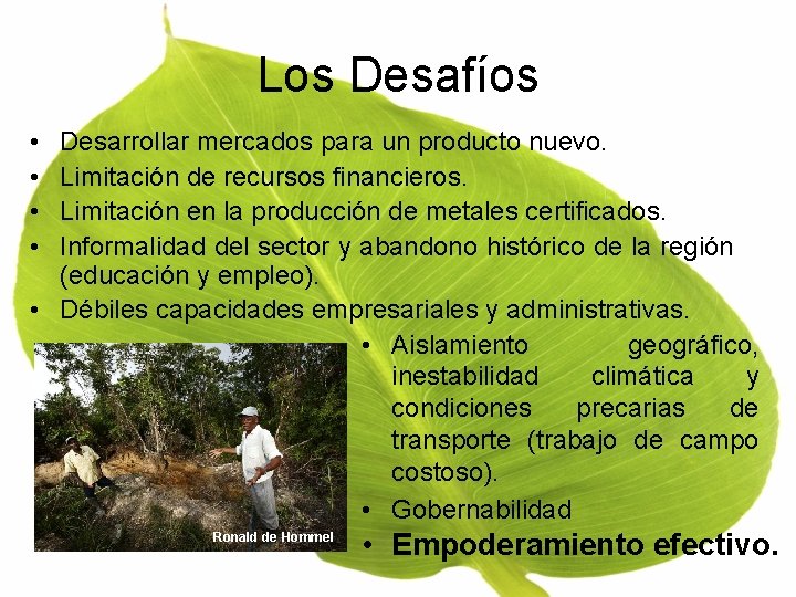 Los Desafíos • • Desarrollar mercados para un producto nuevo. Limitación de recursos financieros.