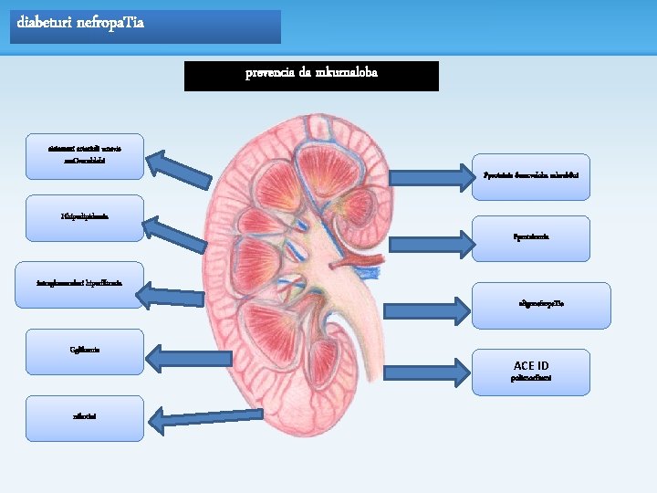 diabeturi nefropa. Tia prevencia da mkurnaloba sistemuri arteriuli wnevis ma. Cveneblebi Pproteinis Semcveloba sakveb.