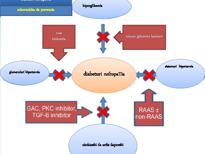 diabeturi nefropa. Tia mkurnaloba da prevencia hiperglikemia raas blokireba glomeruluri hipertenzia mkacri glikemiis kontroli