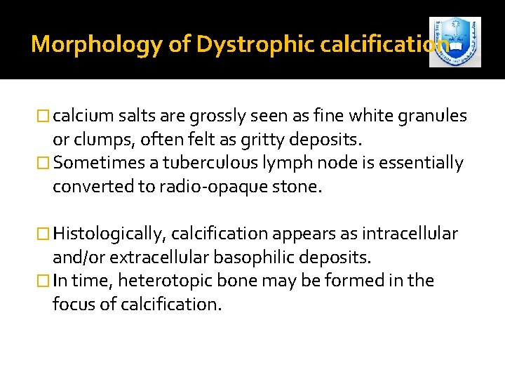 Morphology of Dystrophic calcification � calcium salts are grossly seen as fine white granules