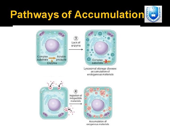 Pathways of Accumulation 