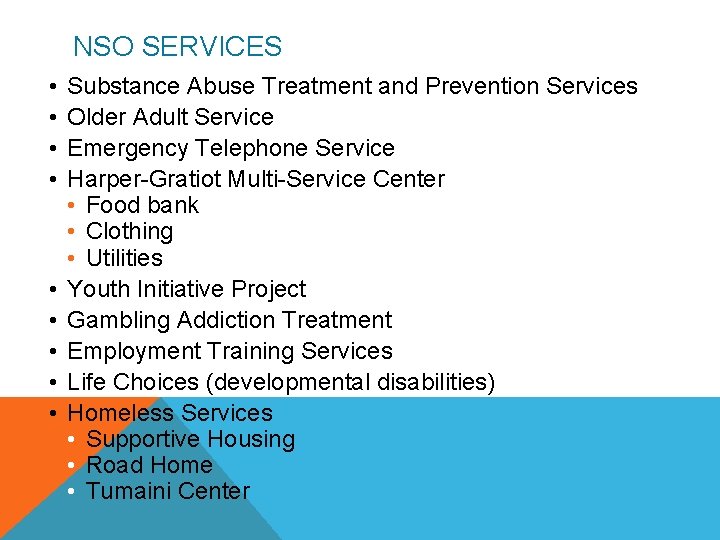NSO SERVICES • • • Substance Abuse Treatment and Prevention Services Older Adult Service