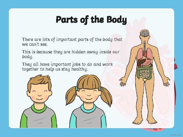 Parts of the Body There are lots of important parts of the body that