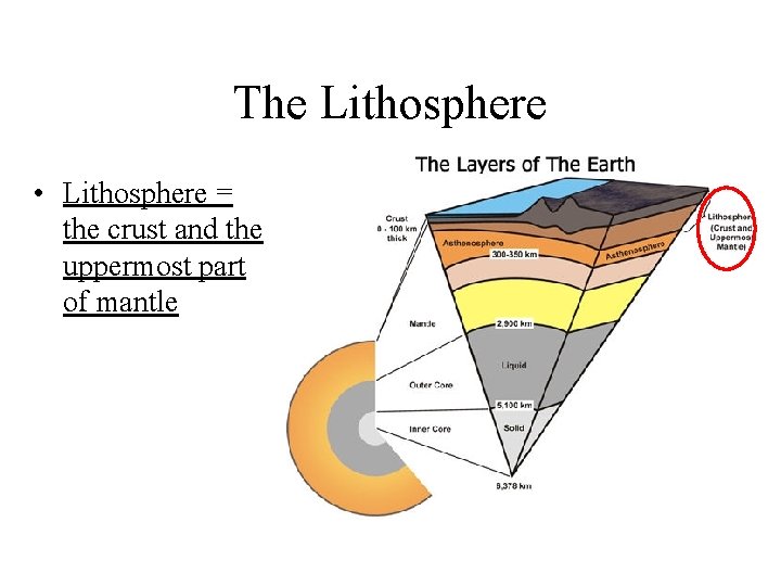 The Lithosphere • Lithosphere = the crust and the uppermost part of mantle 