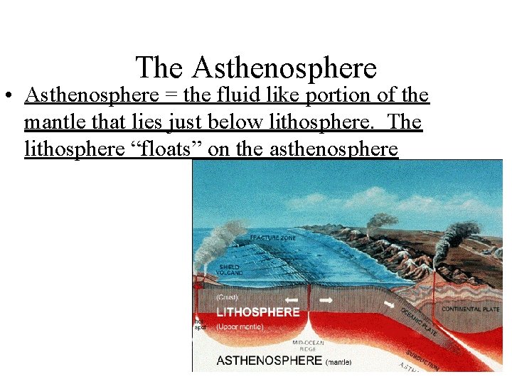 The Asthenosphere • Asthenosphere = the fluid like portion of the mantle that lies