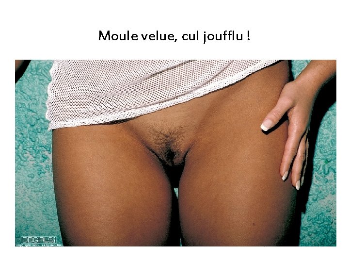 Moule velue, cul joufflu ! Moule velue, cul joufflu !