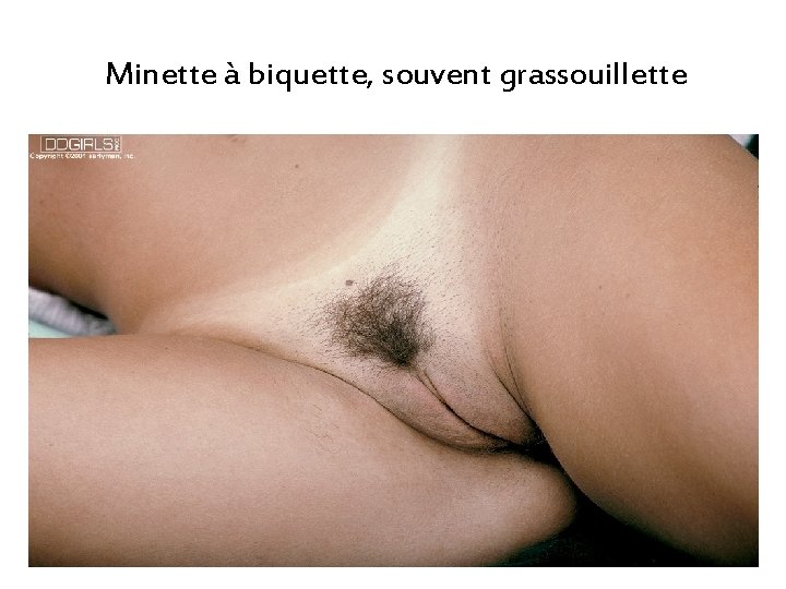 Minette à biquette, souvent grassouillette Minette à biquette, souvent grassouillette