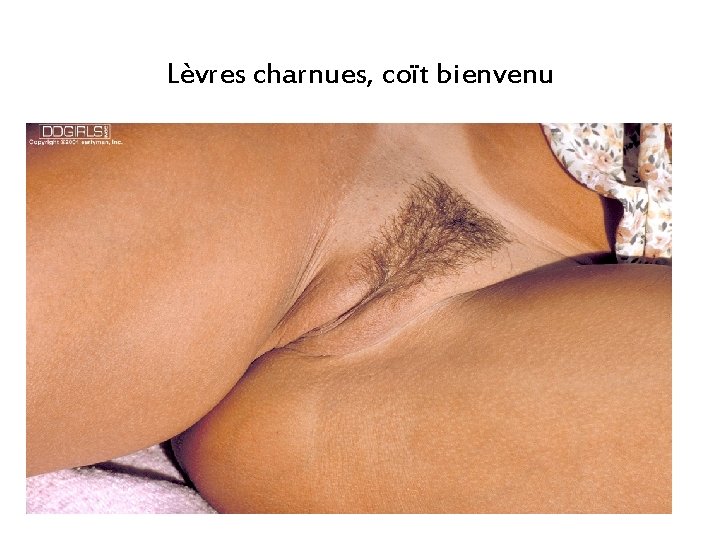 Lèvres charnues, coït bienvenu Lèvres charnues, coït bienvenu