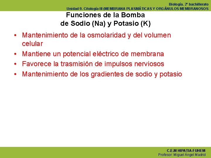 Biología. 2º bachillerato Unidad 9. Citología III (MEMBRANA PLASMÁTICAS Y ORGÁNULOS MEMBRANOSOS Funciones de