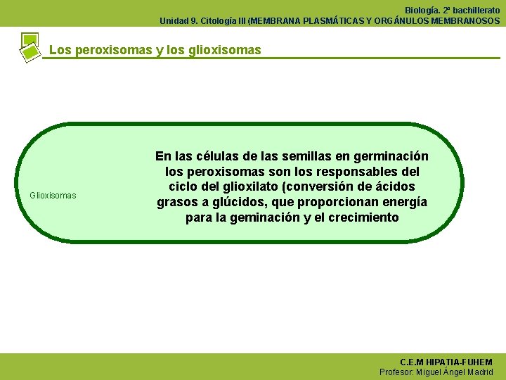 Biología. 2º bachillerato Unidad 9. Citología III (MEMBRANA PLASMÁTICAS Y ORGÁNULOS MEMBRANOSOS Los peroxisomas