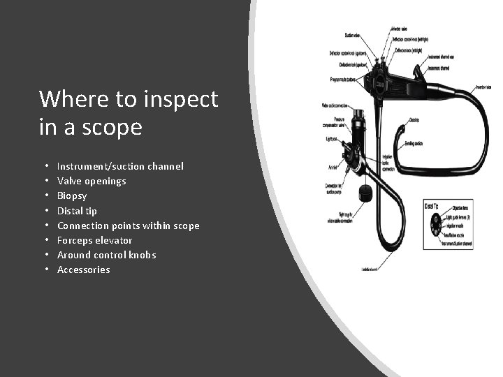 Where to inspect in a scope • • Instrument/suction channel Valve openings Biopsy Distal