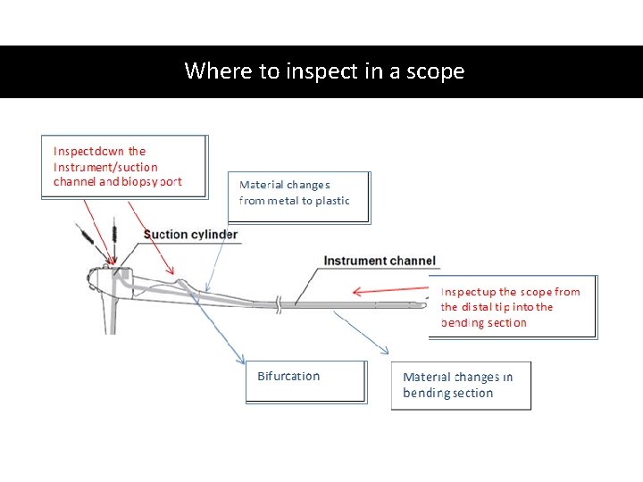 Where to inspect in a scope 