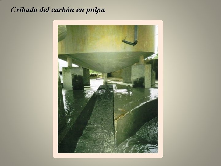Cribado del carbón en pulpa. 