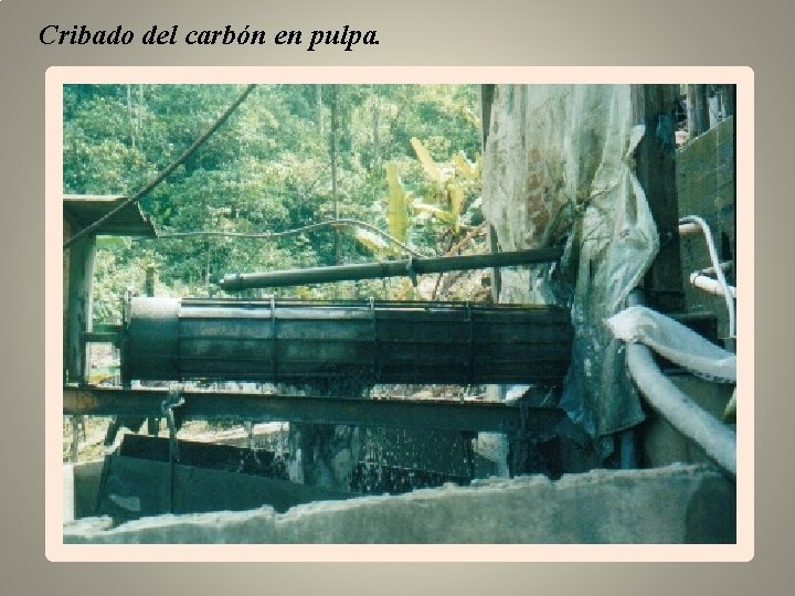 Cribado del carbón en pulpa. 