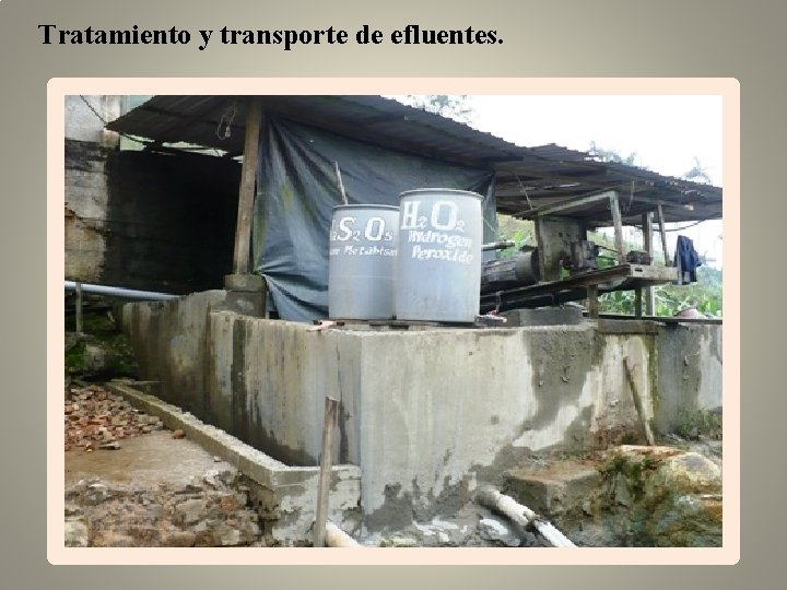 Tratamiento y transporte de efluentes. 