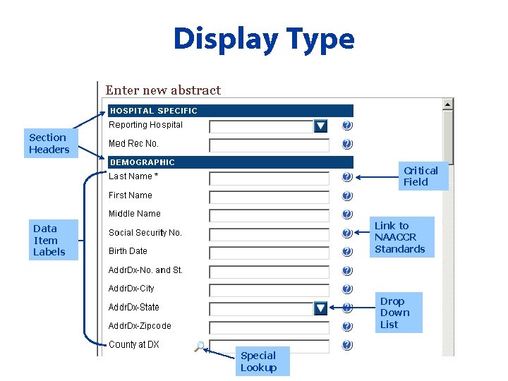 Display Type Section Headers Critical Field Link to NAACCR Standards Data Item Labels Drop