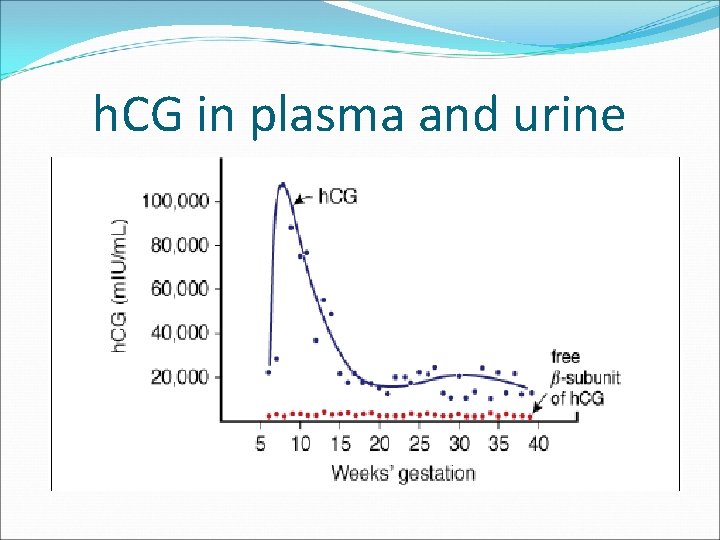 h. CG in plasma and urine 