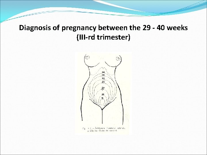 Diagnosis of pregnancy between the 29 - 40 weeks (III-rd trimester) 