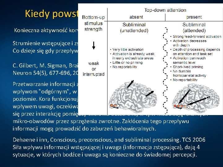 Kiedy powstają świadome wrażenia? Konieczna aktywność kory zmysłowej, np. V 4=kolor, MT/V 5=ruch. Strumienie