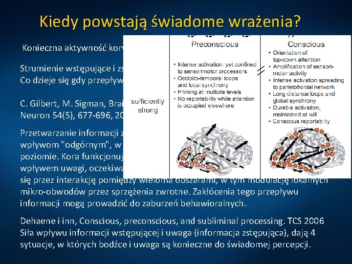 Kiedy powstają świadome wrażenia? Konieczna aktywność kory zmysłowej, np. V 4=kolor, MT/V 5=ruch. Strumienie