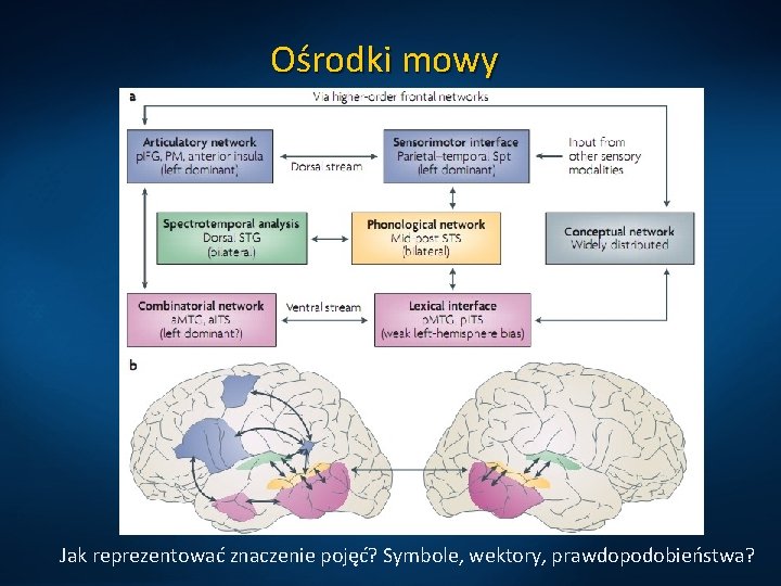 Ośrodki mowy Jak reprezentować znaczenie pojęć? Symbole, wektory, prawdopodobieństwa? 