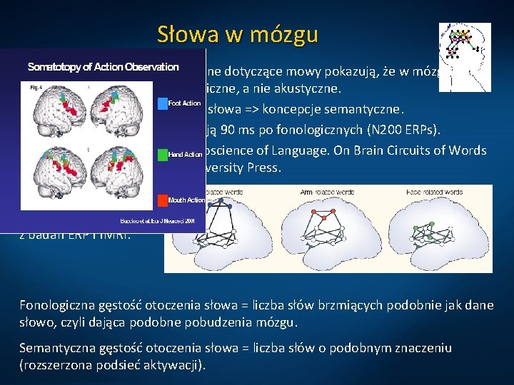 Słowa w mózgu Eksperymenty psycholingwistyczne dotyczące mowy pokazują, że w mózgu mamy dyskretne reprezentacje