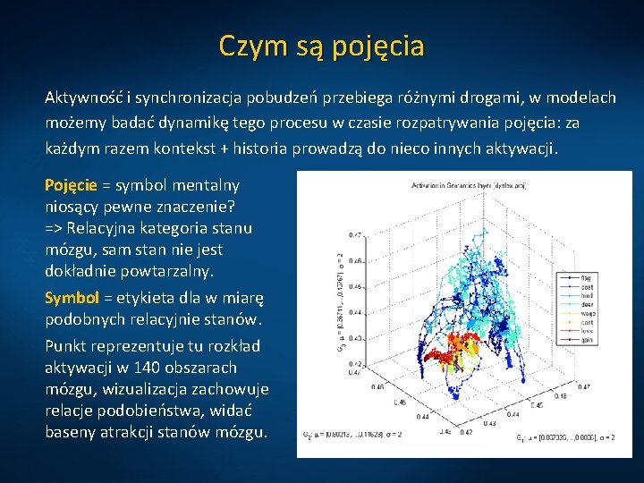 Czym są pojęcia Aktywność i synchronizacja pobudzeń przebiega różnymi drogami, w modelach możemy badać