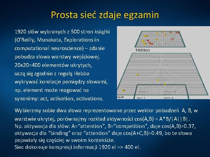 Prosta sieć zdaje egzamin 1920 słów wybranych z 500 stron książki (O'Reilly, Munakata, Explorations